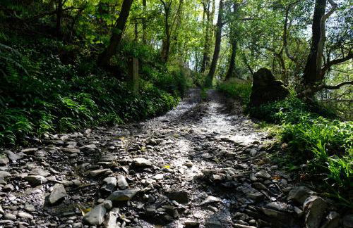 Ty Farm Retreat - Farmhouse Studio - Mountain View - Foto 36