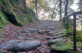 Ás Portas do Sil - En la Ribeira Sacra - Foto 36