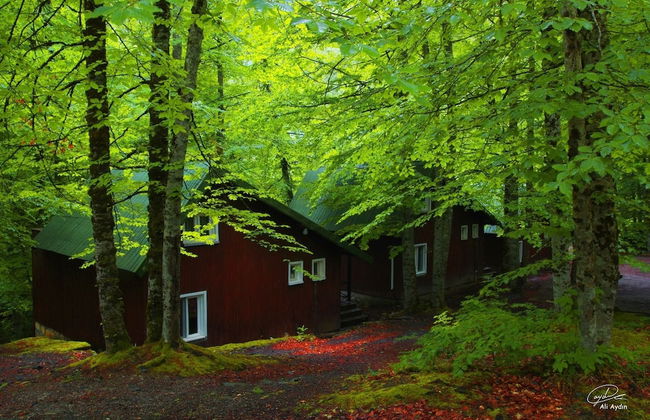 Habitat Mesire Evleri - Foto 32