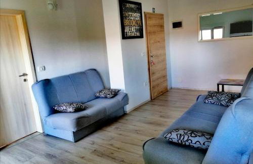 7 PALMI Novigrad - Foto 7