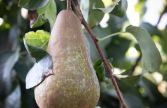 -Casa Relax con giardino- wi-fi Aria condizionata Parcheggio - Foto 12