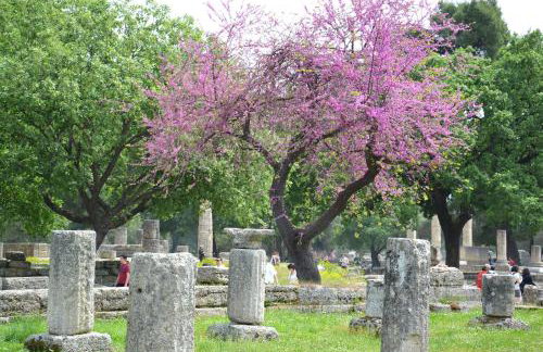 Yiannis' Maizonette Ancient Olympia - Happy Rentals - Foto 56