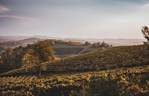 Villa Vinory Bricco di Nizza - Foto 4