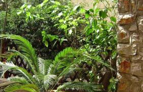 Studio apartment in Mali Losinj with terrace, air conditioning, WiFi, washing machine 4913-2 - Foto 40