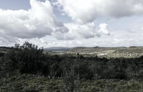 M Butterfly - Foto 31