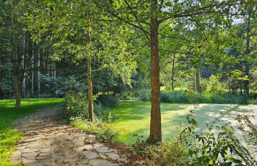 gemütliche Ferienwohnung Schwarzmühle - Foto 16