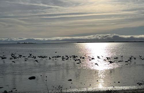 Häuschen mit privatem Schleizugang - Foto 20