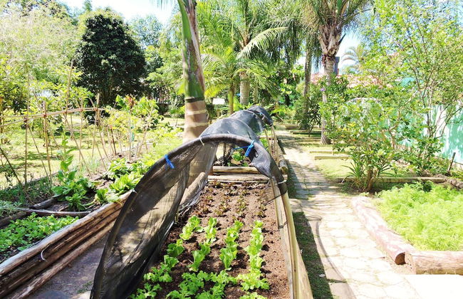 Castelo da Ilha - Photo 63