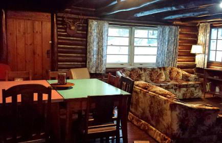 Spacious Family-Friendly Log Cabin with Lake Views near Cadillac, Michigan - Foto 9