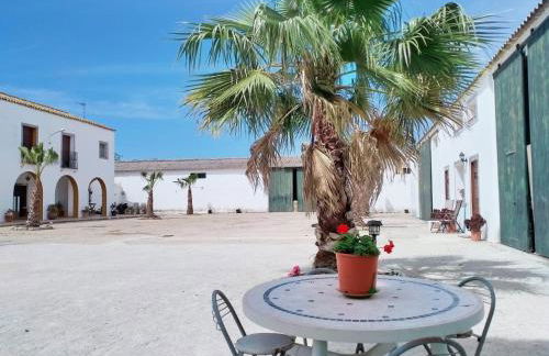 Cortijo Las Cruces Guillena - Sevilla - Foto 25