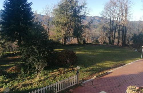 Le camelie - Foto 15