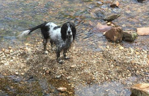 Firthview House - Foto 41