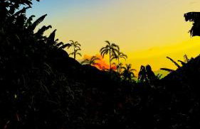 Chalé das Pedras - Refúgio de Paz em meio à Natureza - Foto 46