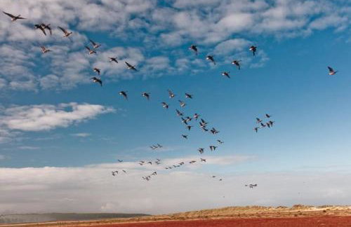 Froggy Cottage - Foto 24