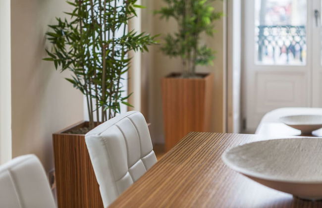 BO - Fernandes Tomás - Photo 7