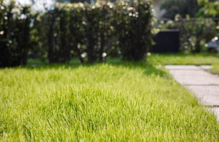 Appartamenti Albatros - Foto 77