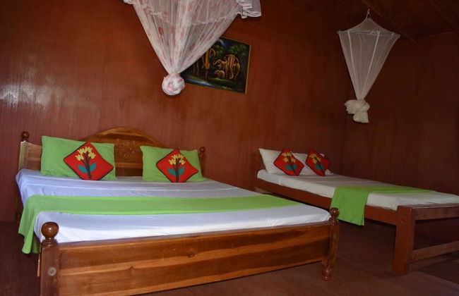 Tree house sigiri queens rest - Foto 1