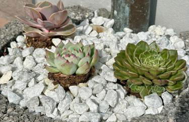 FeWo Arnsberger Wald - Stilvoll und Naturnah - Foto 18