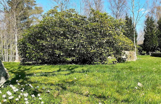 Charming Lakeside Cottage Getaway - Photo 28