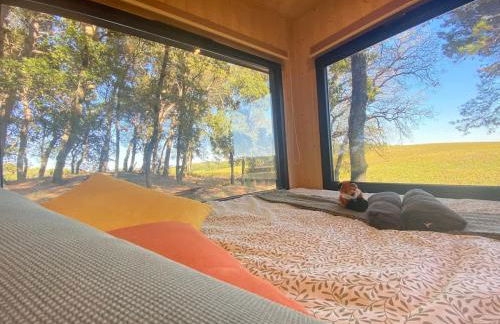 Tiny-House Grand Confort - Salle de bain italienne - Lit King - 10 min A7 - Foto 10