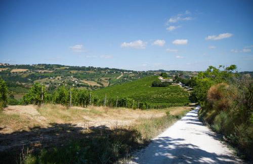 Italian Experience-Villa Zena - Foto 7