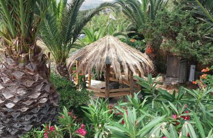 Dionisis Apartments - Photo 27