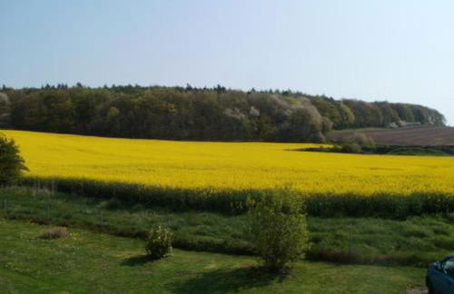 Ferienwohnung Leopold-Risch - Foto 1