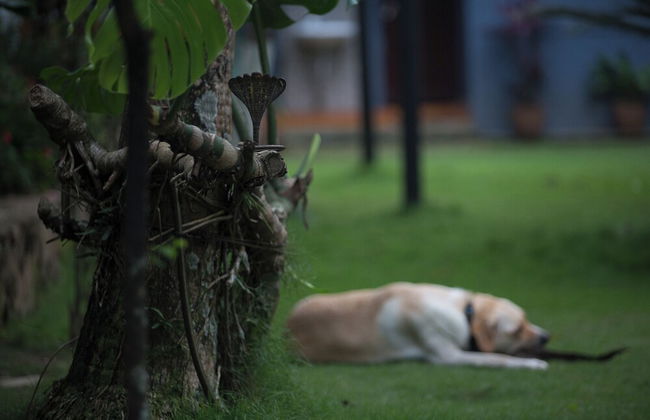 Mingtang Boutique Cottage - Photo 68