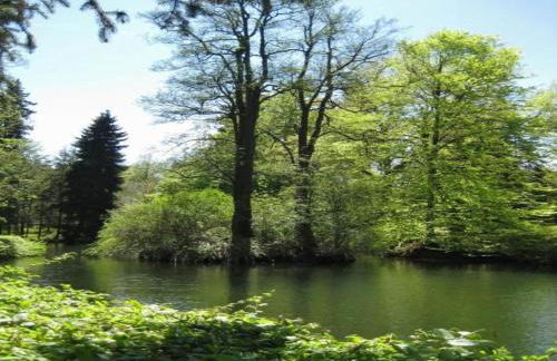 Cozy Garden Retreat Malemort - Foto 34