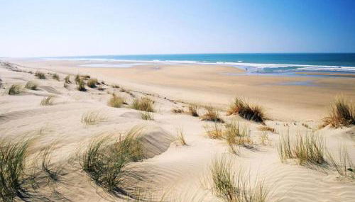 l'Echo des Vagues - Foto 4