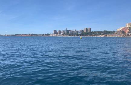 Altos de Campoamor - Foto 37