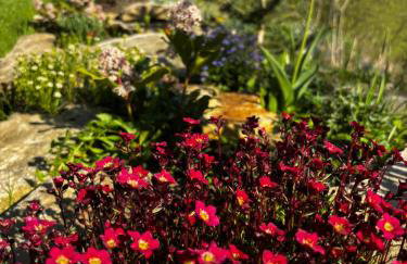 Idylla nad stawem- domek na Kaszubach - Photo 11