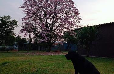 Chácara do Haras - Photo 66