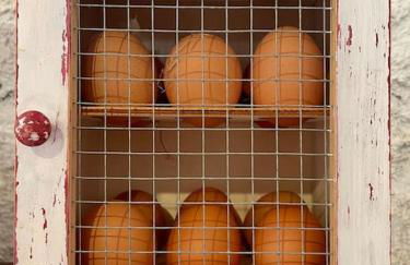 Masía entre viñedos y mar - Foto 44