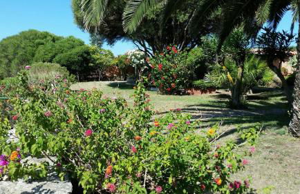 Villa La Liccia Misia - Foto 44