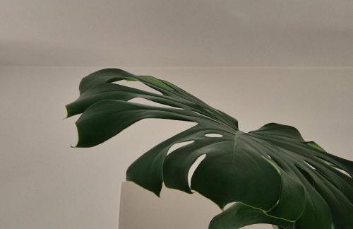 Renovated 1B Studio Apartment w Balcony in Central Brixton - Foto 28