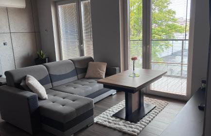 APARTAMENT LUX Bulwary Chrobrego Gniezno - Foto 9