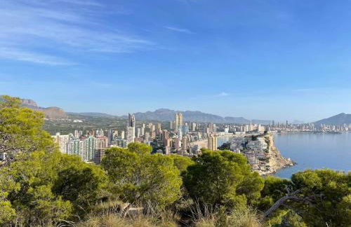 La casa del león dormido - Foto 43