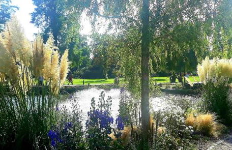 Haus Sonneneck 1 - Foto 17