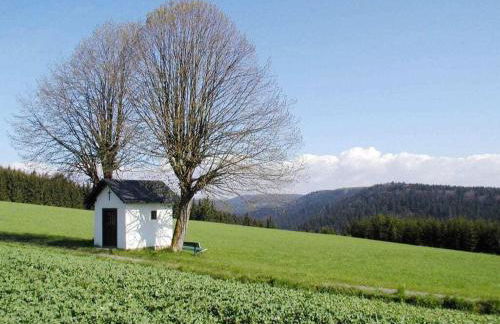 Frankenwaldhaus Comfortable Holiday Residence - Foto 72