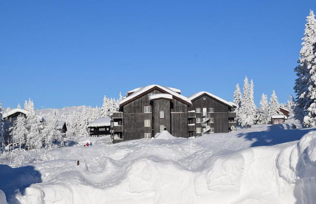 Skeikampen Booking - Foto 39