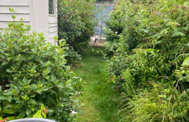 Cosy cottage in Bridport centre - Photo 19