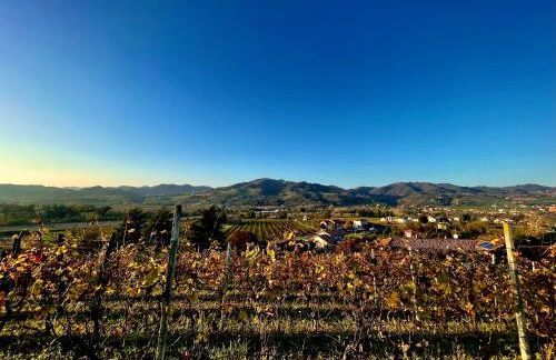 Agriturismo Poderi Zunino - Foto 67