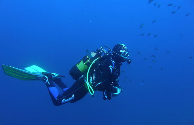 The Old Palace Tower / La Torre del Palación - Photo 66