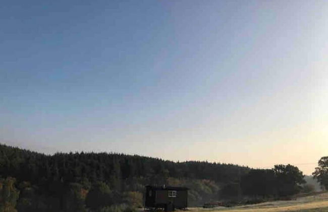 Dog Friendly Shepherd's Hut, Perfect for Couples - Photo 16
