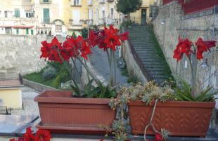 Stairway to Heaven with private terrace - Photo 14