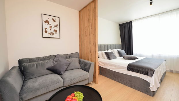 Novo Studio - Cismigiu Gardens - Quiet Room - Smart Tv - Foto 5, Zona de estar