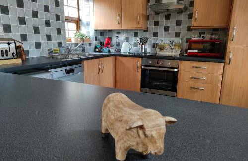 Y Bwthyn at The Old Water Mill on the very edge of Snowdonia - Foto 9