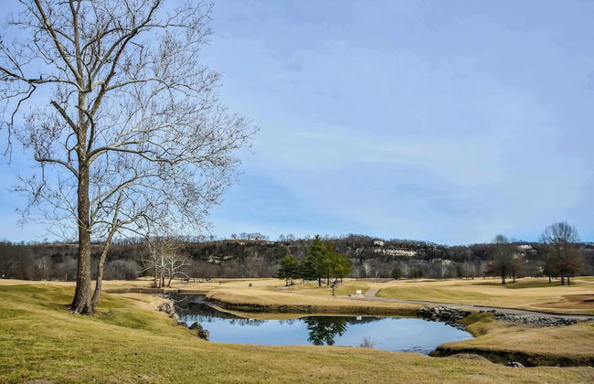 Birdie's Bliss 2BR Condo Sleeps 6! - Photo 23