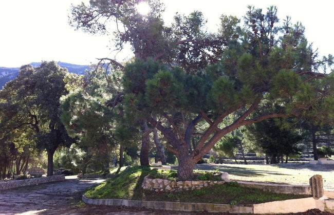 Masia La Safranera - Foto 42